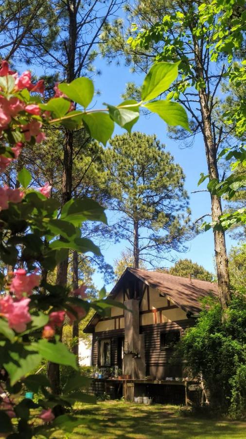 Вилла Cabana En Карило Экстерьер фото